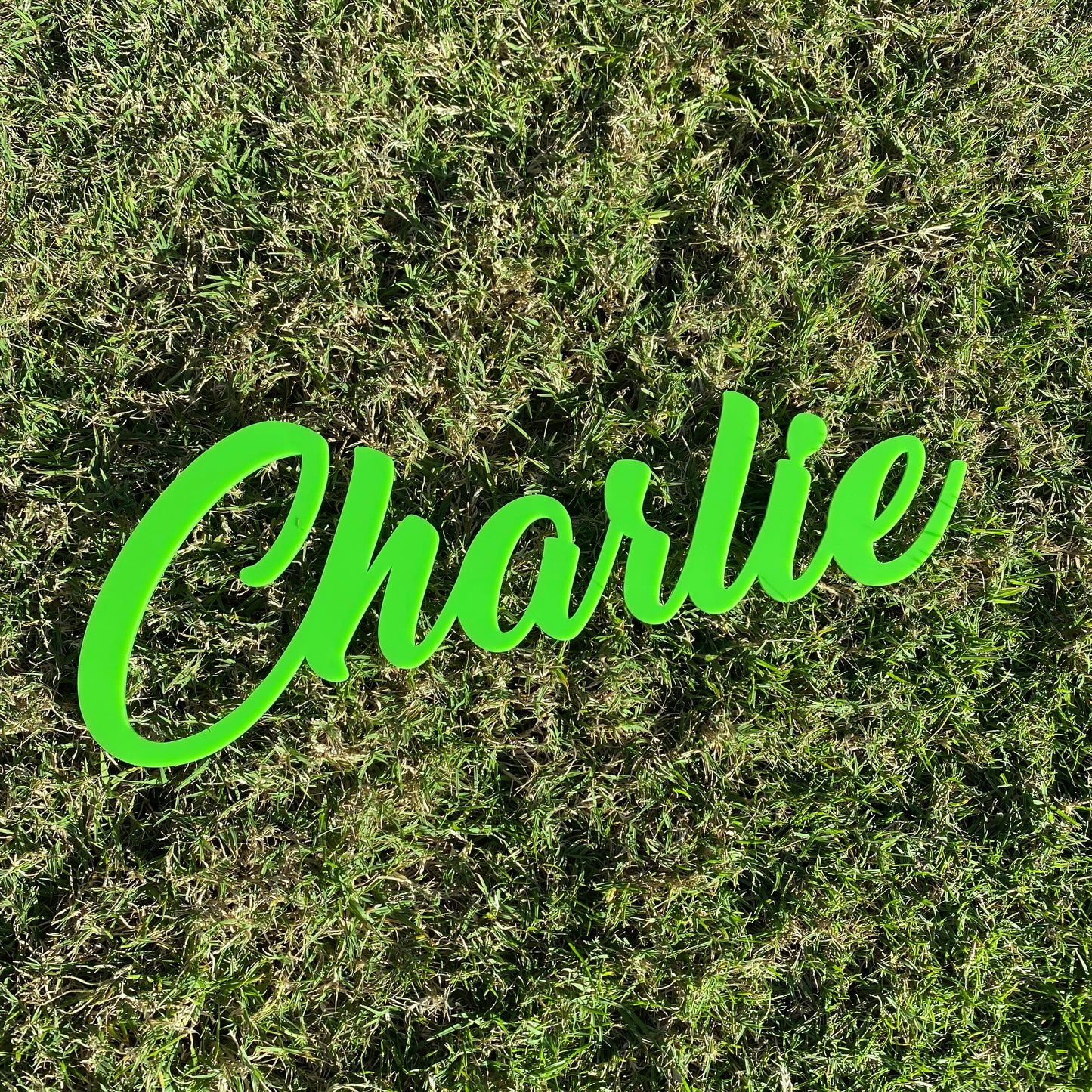 Name Sign - Single Layer Acrylic or Timber - Your Custom Text