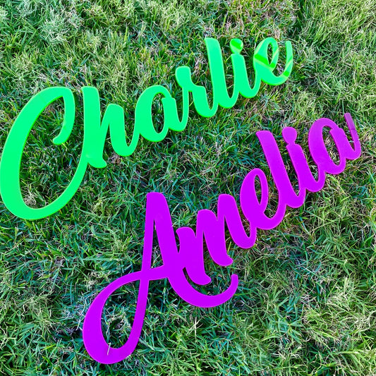 Name Sign - Single Layer Acrylic or Timber - Your Custom Text